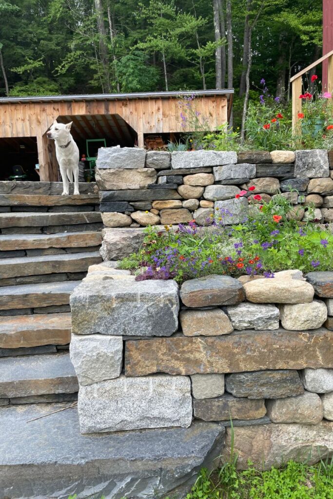 stonewall